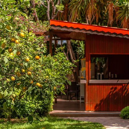 Telatiye Resort Hotel-2